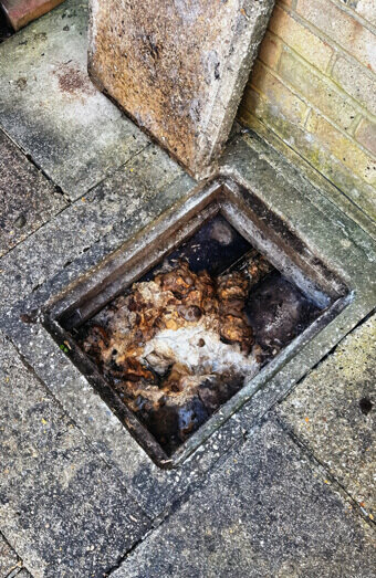 https://plumbermountpleasant.com.au/uploads/2025/06/blocked-drains-465055.jpg